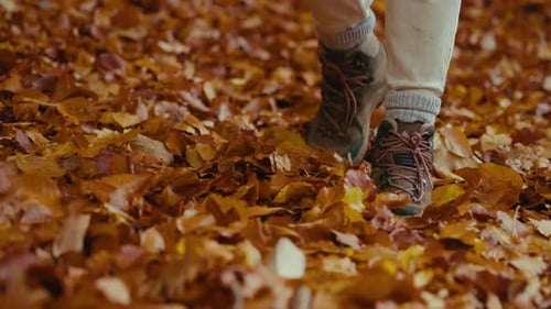 Hiking Boots Walk on Fallen Autumn Foliage Leaves