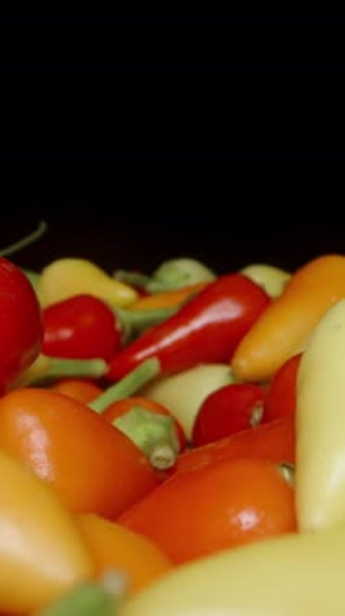 Colorful Peppers Pile Close Up Zooming In