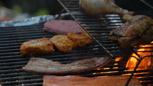 Close up of mixed meat grilled on open fire, barbeque party, summer party concept, cooking