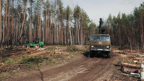 Two logging trucks navigate a dirt road through a heavily forested area