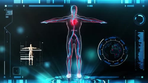 Futuristic Human Body Anatomy Scan UI Animation