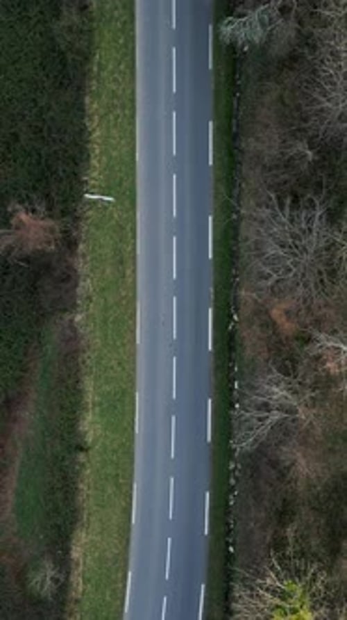Aerial View of a Road with Cars Driving on It