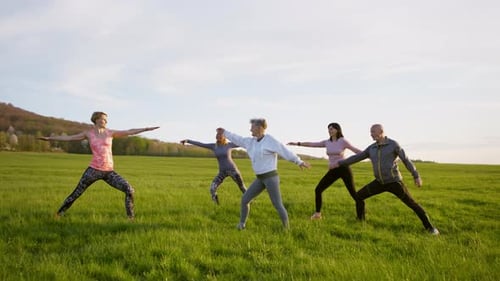 Group Stretching in a Meadow on a Sunny Day