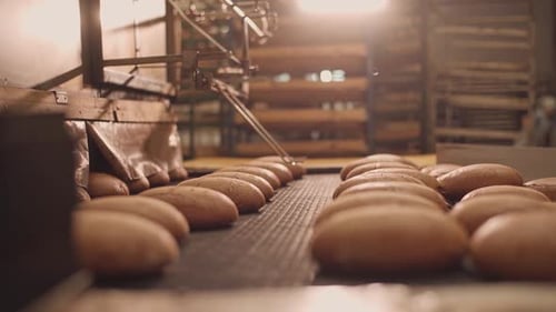 Loaves of bread on a production line in a bakery. Fragrant bread with a ruddy golden crust.