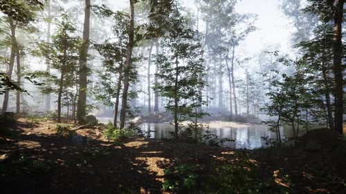 Misty Forest Landscape with Peaceful Water Reflection at Dawn