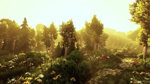 Peaceful Animated Forest Path with Golden Sun Rays
