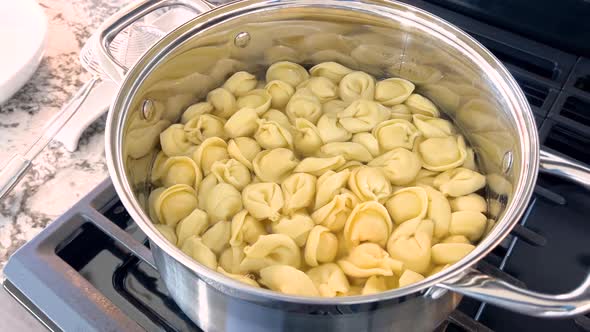 Cooking Pasta Shells in a Large Pot on the Stove, Food Stock Footage ft ...
