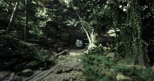 Tranquil Forest Pathway Surrounded By Lush Greenery in Natural Light