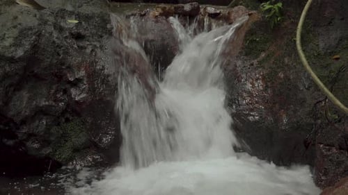 Stream running fast in tropical rainforest. Small waterfall with crystal clear water. Beautiful broo