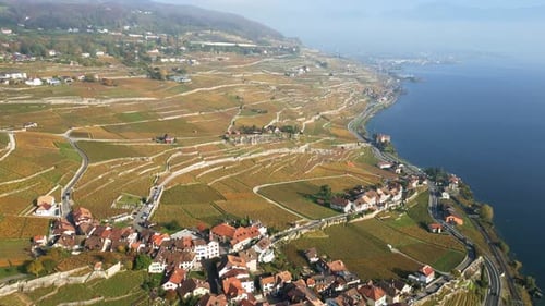 Picturesque Vineyard Village Aerial View on Sunny Day