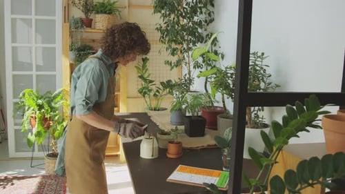 Woman Gardening Indoors Caring for Plants in Home