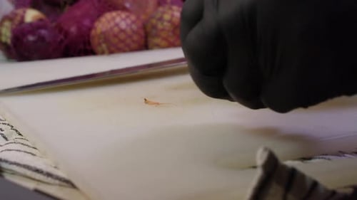 Hands in Gloves Cutting Onion on Board