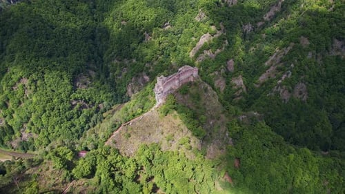 Vue matinale brumeuse de la citadelle historique de Poenari sur une falaise, surplombant une forêt dense