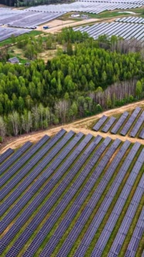 Large solar panel farm surrounded by lush trees and greenery.