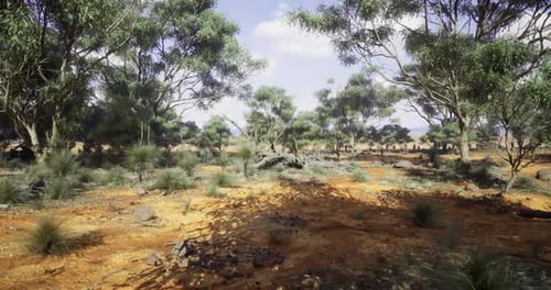 Scenic View of an Australian Bushland During Clear Daylight Hours