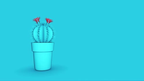 Cactus Blue