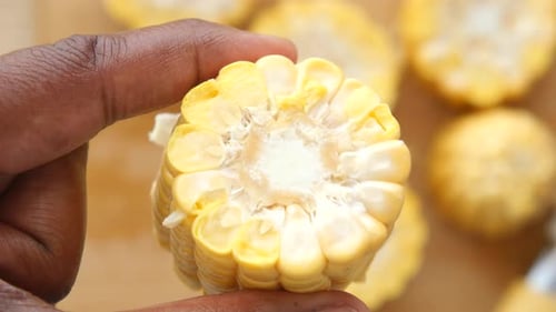 A CloseUp View of Freshly Cut Corn on the Cob Showcasing Its Colorful and Vibrant Nature