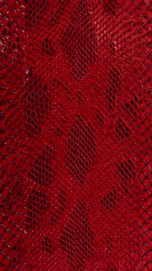 texture de peau de serpent, gros plan, arrière-plan, vidéo verticale