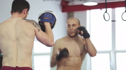 Sessão dinâmica de treinamento de boxe entre dois lutadores habilidosos