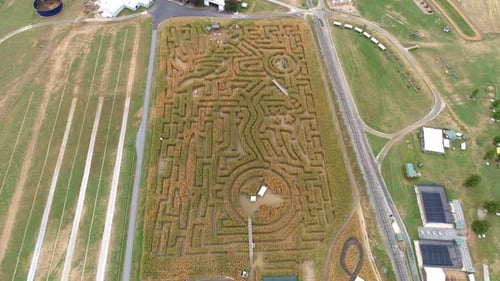 Aerial View from Above of a Large Corn Maze in Autumn as Seen by a Drone