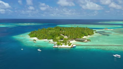 Luxury Overwater Villas with Coconut Palm Trees Blue Lagoon White Sandy Beach at Bora Bora Island