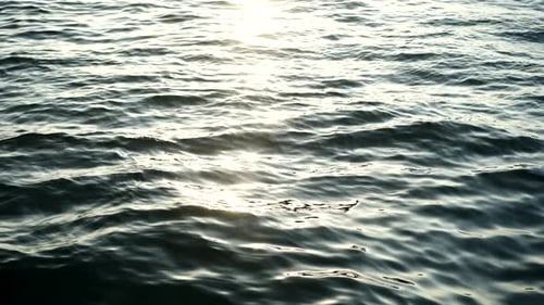 Ocean Waves Rippling in the Golden Sunlight
