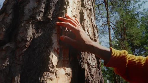 Loving Nature Harmony Calm Relaxation Save Earth Green Planet