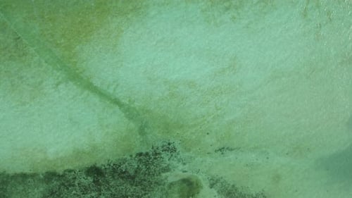 Aerial view of white sand turquoise beach with tropical jungle in Indonesia
