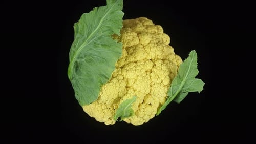 Vibrant Yellow Cauliflower Head on Black Background
