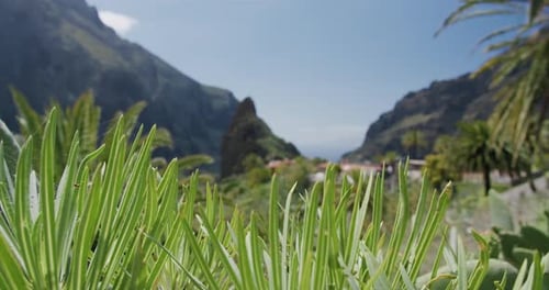 Masca Gorge and village on the island of Tenerife, Canary Islands, Spain
