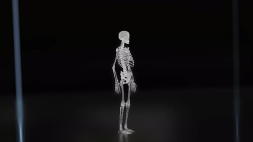 3D rotierendes menschliches Skelett 4K