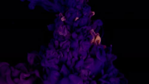 Fluid Art Ink Mixed on Water Red Blue Yellow and White Mix Color on Black Background