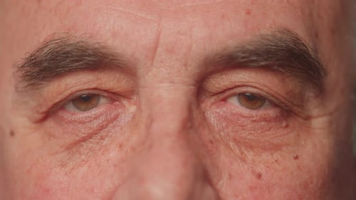Close Up of an Adult's Brown Eyes Blinking