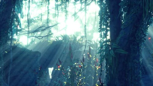 Deep Tropical Jungle in Darkness