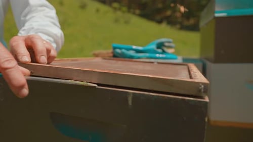 Beekeeper Inspects Beehive on a Rural Farm