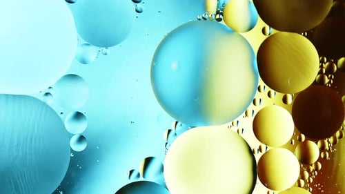Real close up oil bubbles in water rotation with color gradient abstract mixing background.