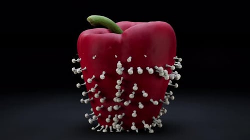 Fungal Growth on a Red Bell Pepper Animation