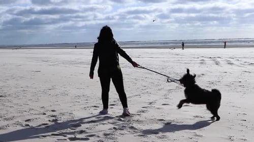 Girl playing with the dog on the beach on a sunny windy day at the ocean