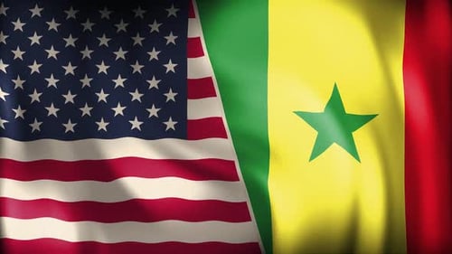 Usa And Senegal Background Loop