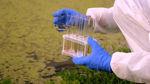 Scientist Analyzes Water Samples in Test Tubes