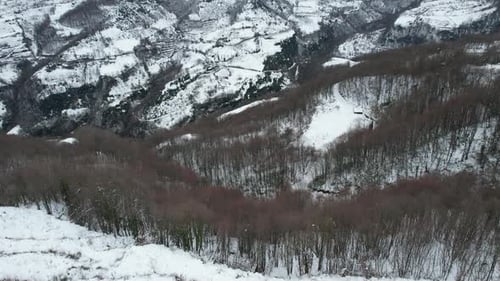 Schneebedeckter Wald aus der Luft