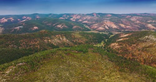 Fliegen Sie über die atemberaubende Berglandschaft mit Pinienwäldern.