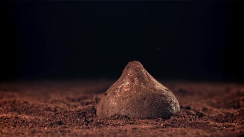 Chocolate Truffle Falling onto Cocoa Powder in Slow Motion