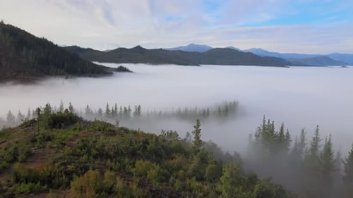 Berge und üppige Wälder mit Wolken in Chile