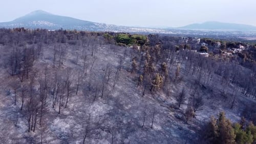 Aerial View of a place after the wildfire and firefighter vehicle in Greece