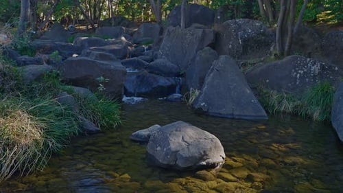Gentle Stream Flowing Through Rocks in Heisei Garden
