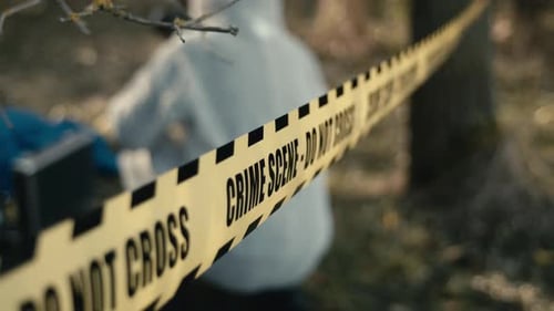 Crime Scene Tape in a Wooded Area