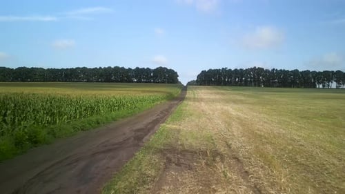 Green field aerial view in Ukraine