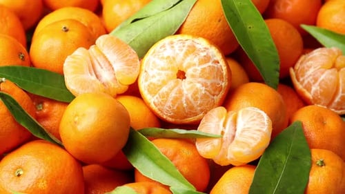 Many fresh ripe tangerines with green leaves as background, rotating