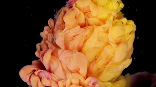 Colorful Ink Swirls in Water Abstractly